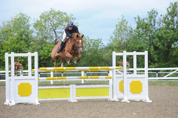 Michaela Huntington & Alegro Z are crowned the Winter Amateur Champions